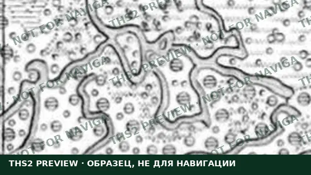 Образец карты с водяным знаком