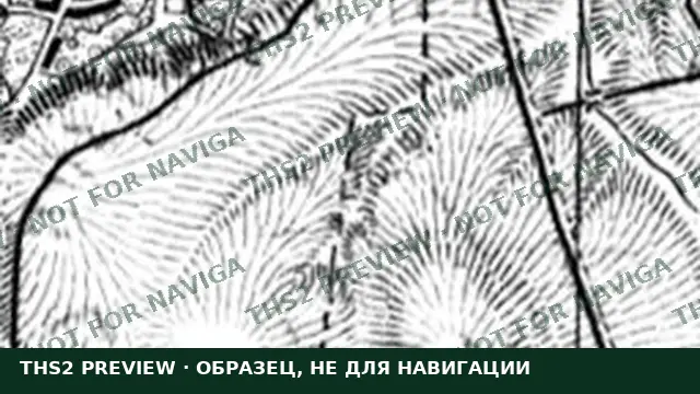 Образец карты с водяным знаком